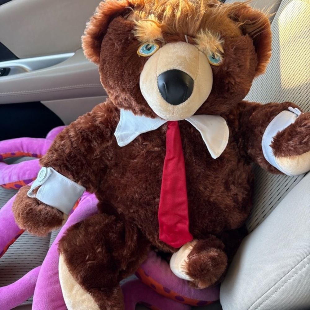 Brown Teddy Bear with Red Tie